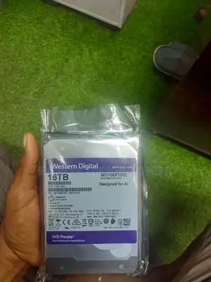 16TB Western Digital Wd Surveillance HDD