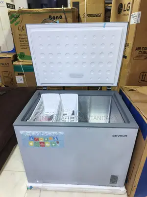 SKYRUN 260-Litre Deep Freezer for Bulk Grocery Storage