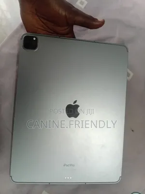 Apple iPad Pro 12.9 (2022) 128 GB Gray