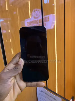 Apple iPhone 12 Pro Max 256 GB Gray