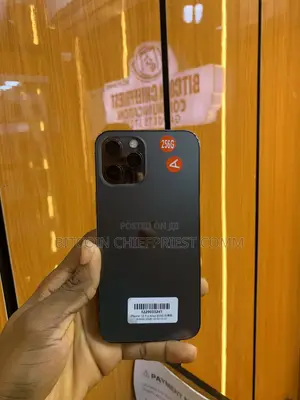 Apple iPhone 12 Pro Max 256 GB Gray