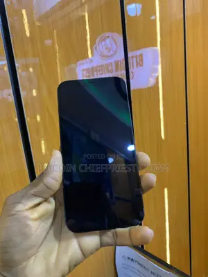 Apple iPhone 12 Pro Max 256 GB Blue