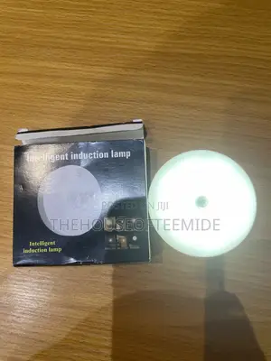 Circular Induction Intelligent Lamp
