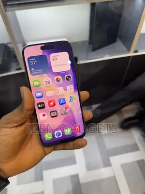 Apple iPhone 16 Pro Max 256 GB Gray