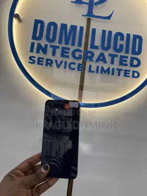 Samsung Galaxy A55 256 GB