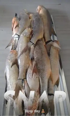 Fresh Fish Vendor in Bayelsa