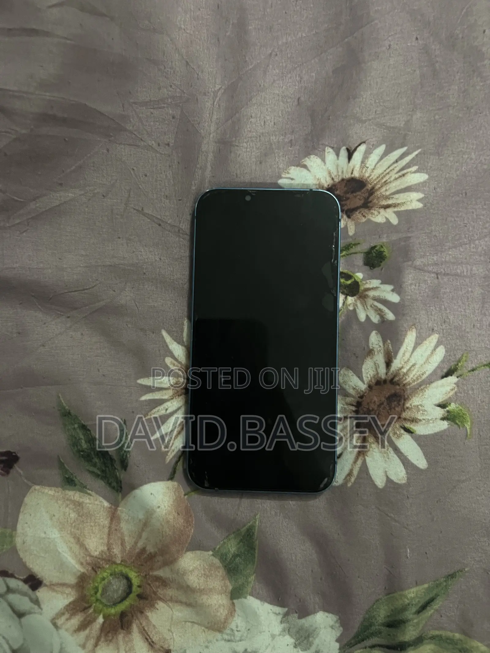 Apple iPhone 13 128 GB Blue