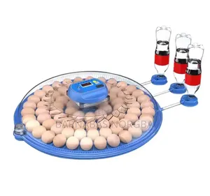 80 Eggs Incubators