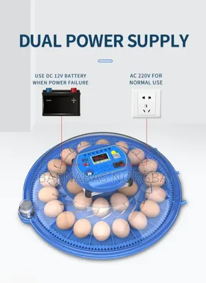 80 Eggs Incubators