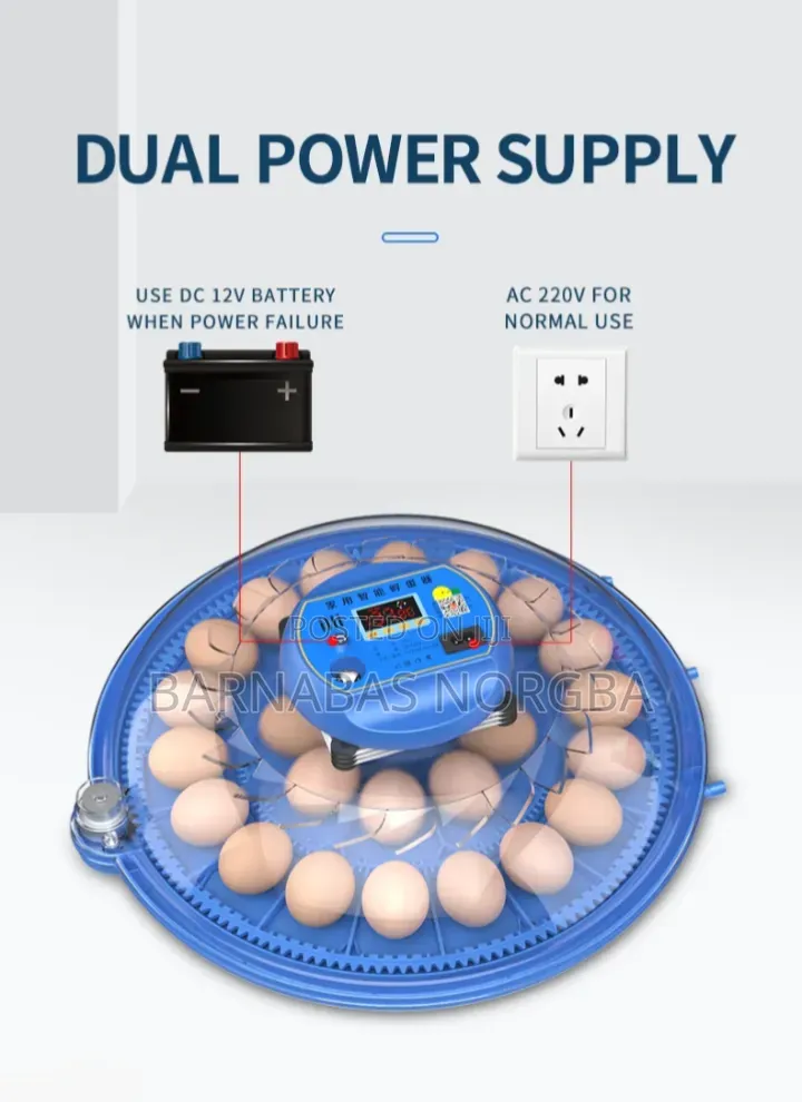 80 Eggs Incubators