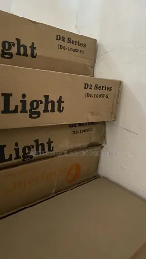 D2-100w Solar Street Light
