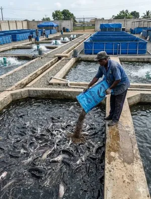 Farm Worker Needed Urgently in Ogun State