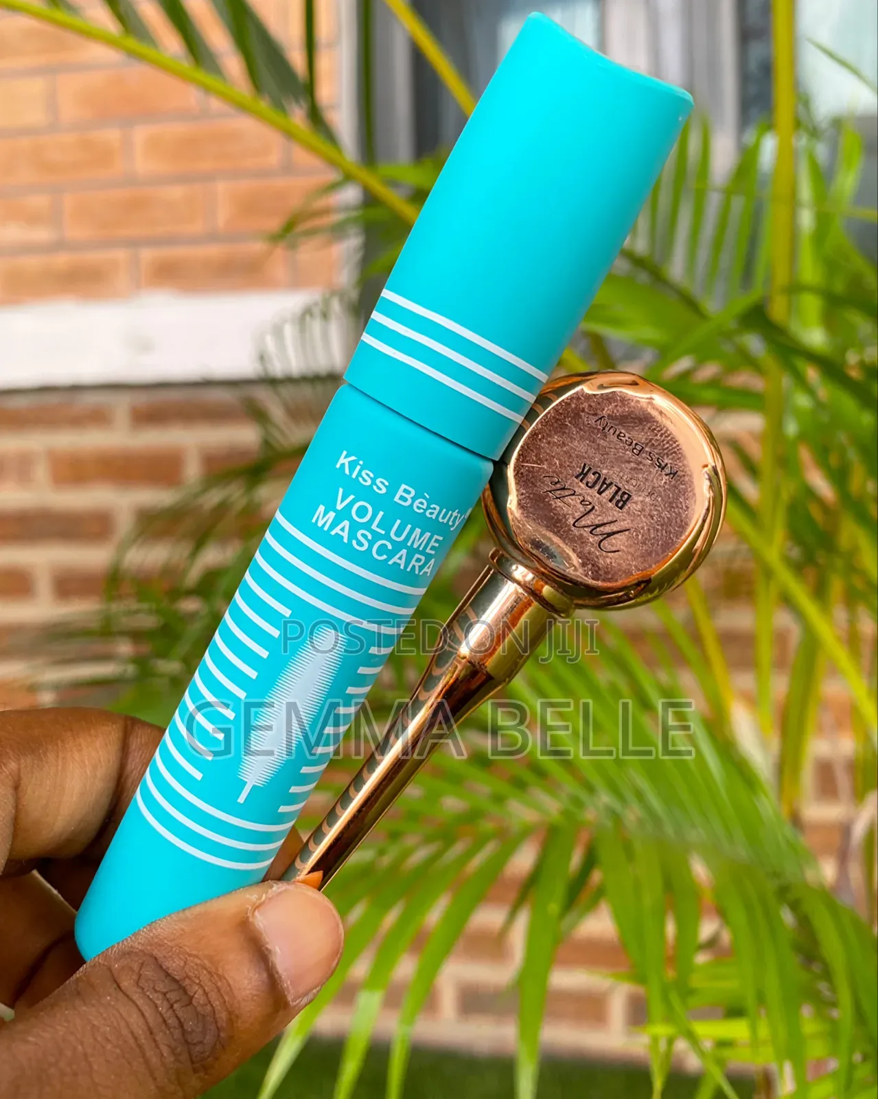 Makeup Starter Kit