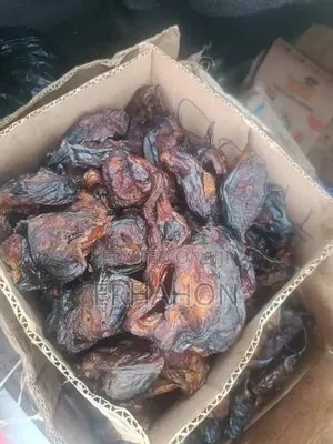 Dry Fish and Dry Snail