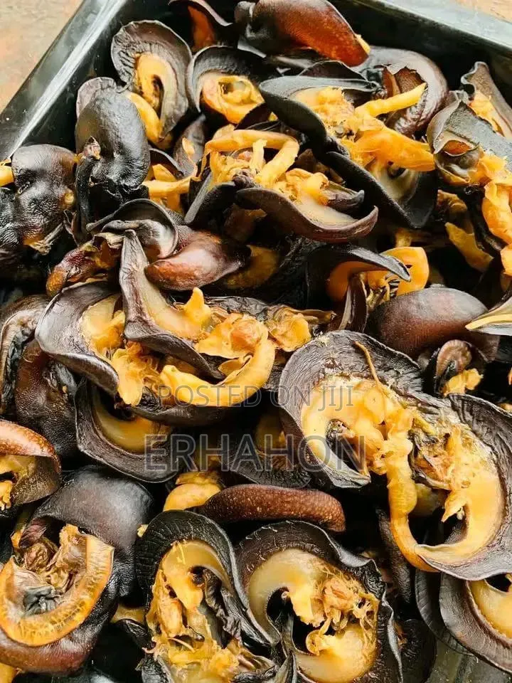 Dry Fish and Dry Snail