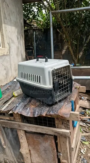 Collapsible Dog and Cat Carrier