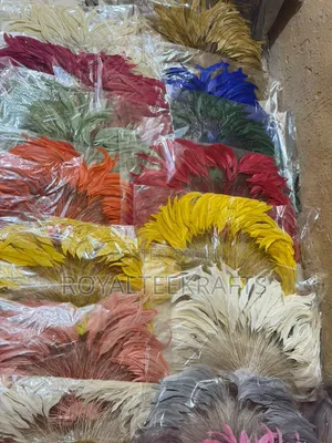 Fan Feather