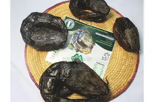 Abimos Advance Oven Dried Catfish