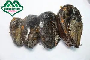 Abimos Advance Oven Dried Catfish