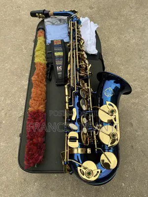 Suzuki Musique ZK-528 Alto Saxophone