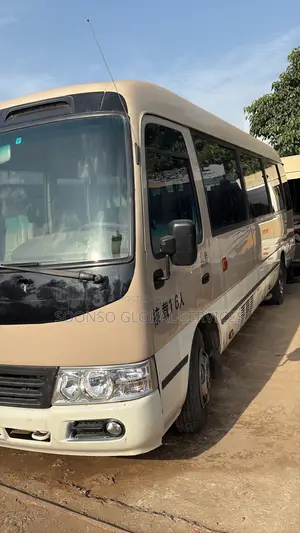 Toyota Coaster 2017 Brown