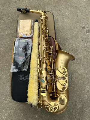 DY USA Profesional Alto Saxophone