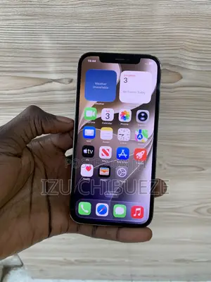 Apple iPhone 12 Pro 256 GB Graphite