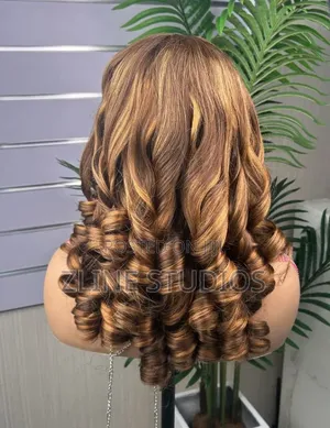 Human Hair Wig
