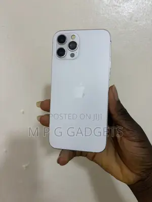 Apple iPhone 12 Pro Max 128 GB Silver