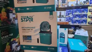 Winning Star 10" Rechargeable Desktop Mist Fan With Water Tank ST-4106