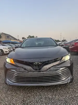 Toyota Camry LE (2.5L 4cyl 8A) 2019 Gray