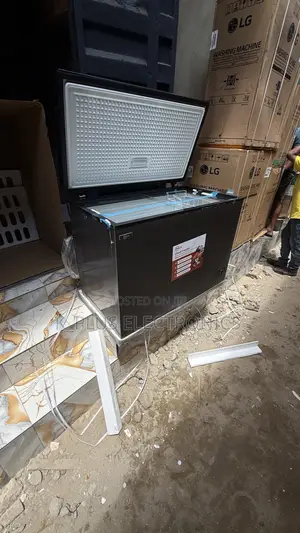Zen 300L Freezer 
