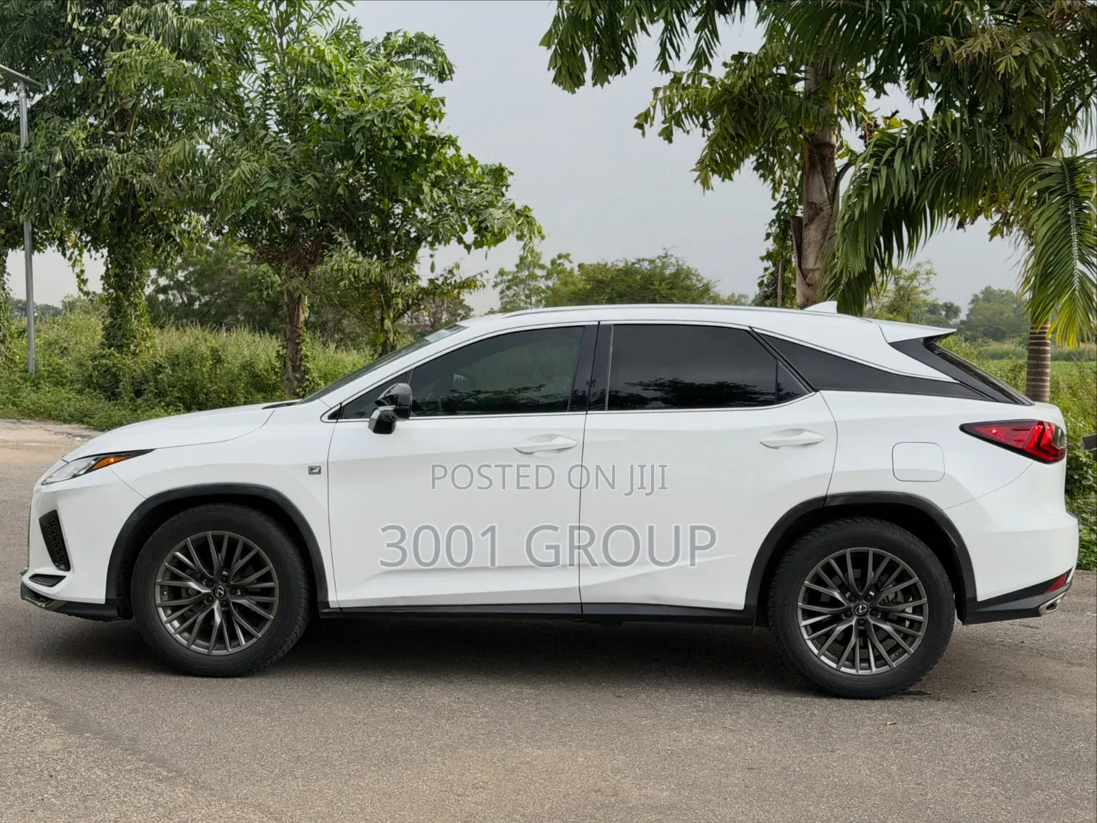 Lexus RX 2021 White