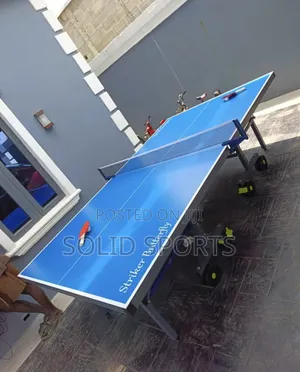 Aluminum Strong Outdoor Table Tennis Payment on Delivery