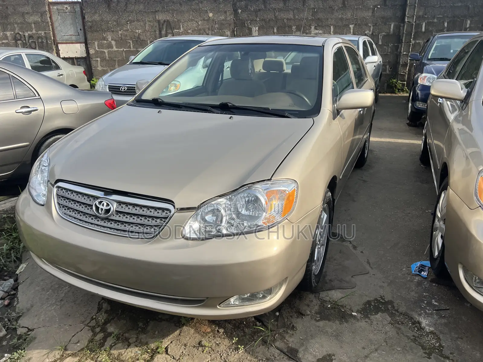 Toyota Corolla 2006 Gold