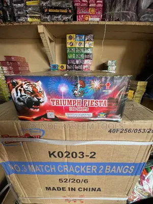 100shot Fireworks Knockout Banga