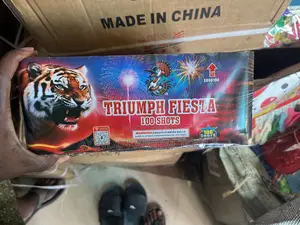 100 Shot Knockout Fireworks