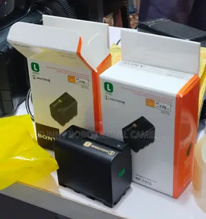 Sony Camera Battery