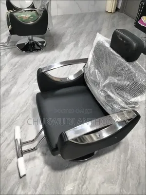 Luxury Hydraulic Salon / Styling Chair