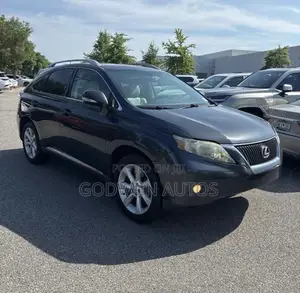 Lexus RX 350 2010 Gray