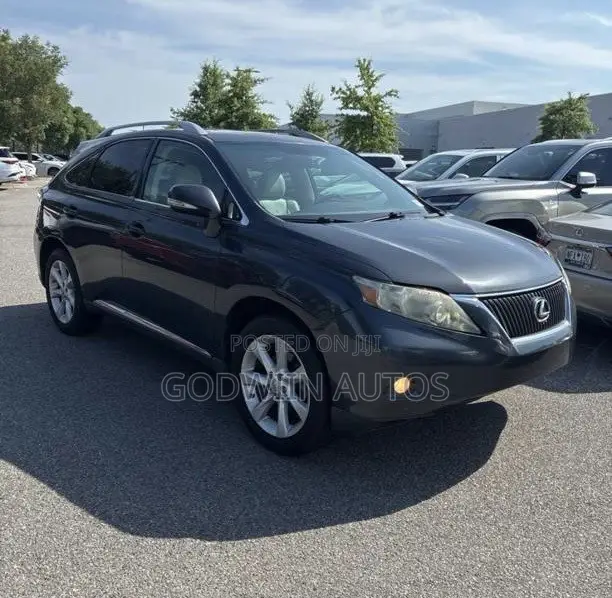 Lexus RX 350 2010 Gray