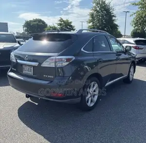 Lexus RX 350 2010 Gray