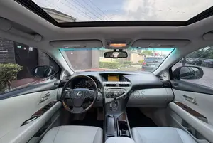 Lexus RX 350 2010 Gray
