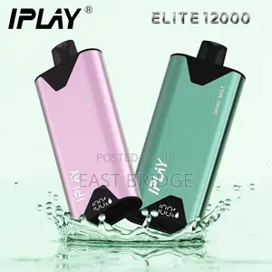 Disposable Vapes With 12000 Puffs