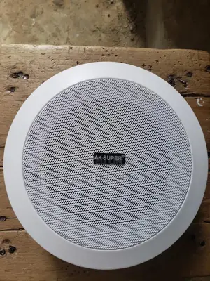 Ceiling Speaker