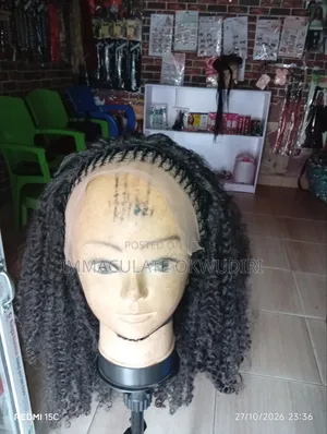 Affordable Braided Wig and Hair