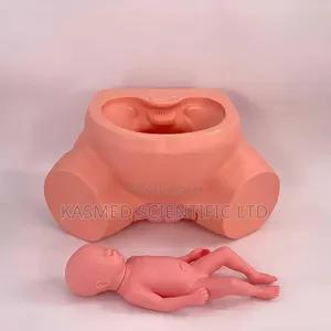 Nursing Child Birth Midwifery Manikin Medical Laboratory