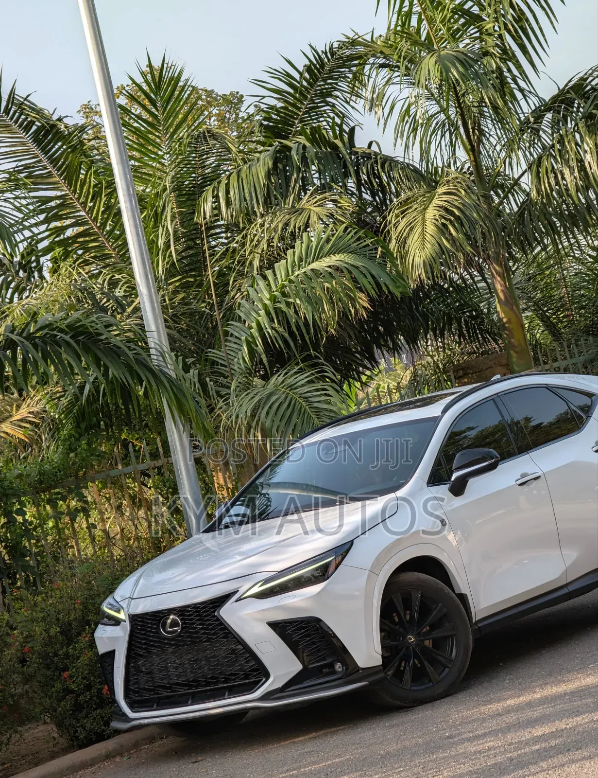 Lexus NX 2022 White