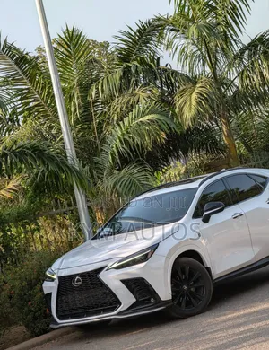 Lexus NX 2022 White