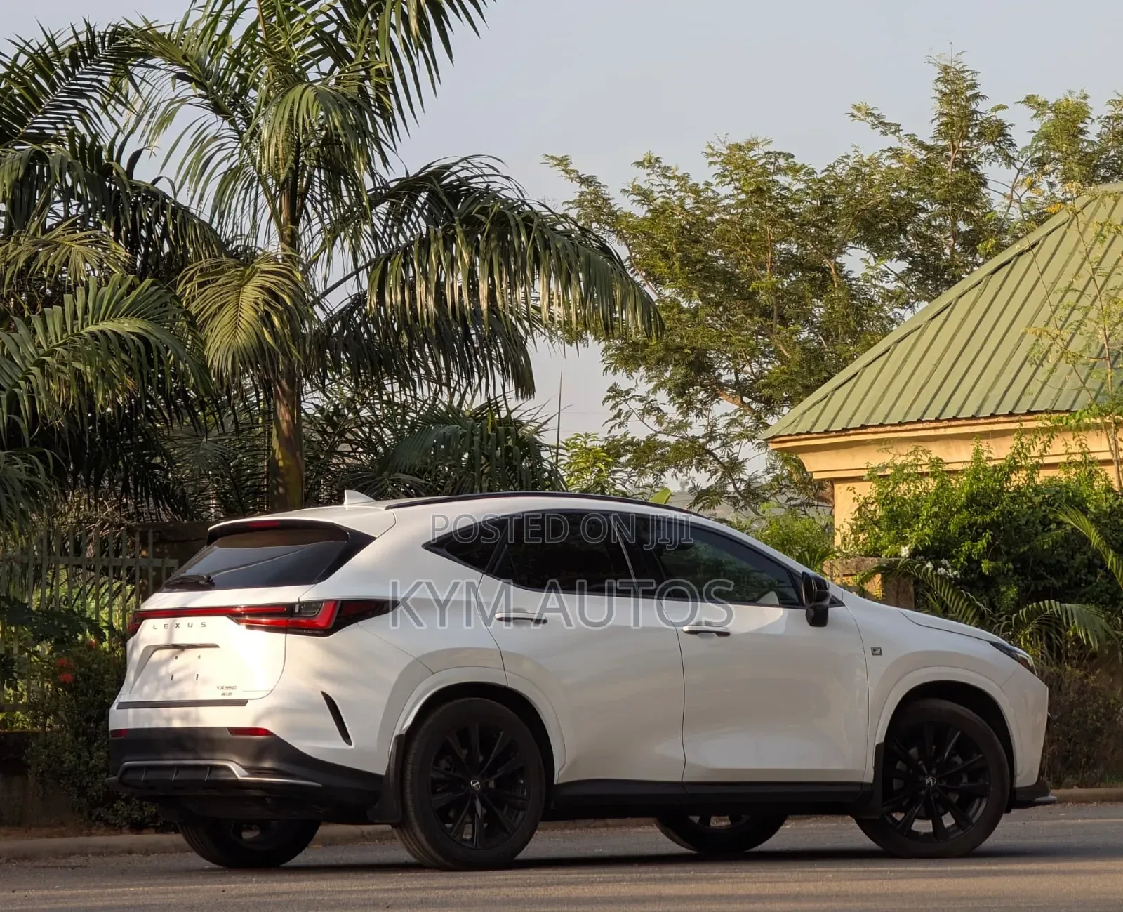 Lexus NX 2022 White